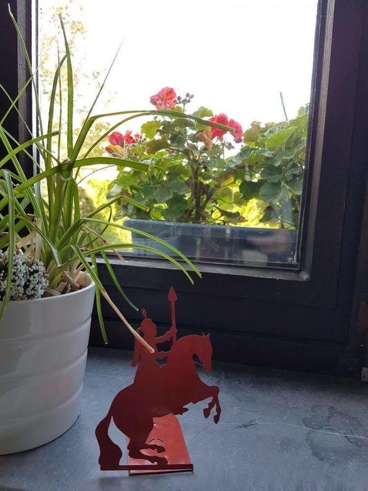 Au Petit Dragon Bed & Breakfast Mons Exterior photo